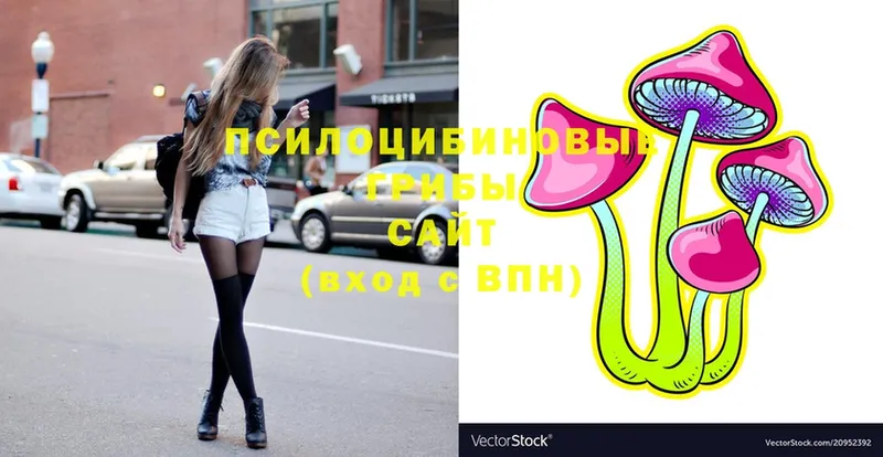 Галлюциногенные грибы Magic Shrooms  Волжск 